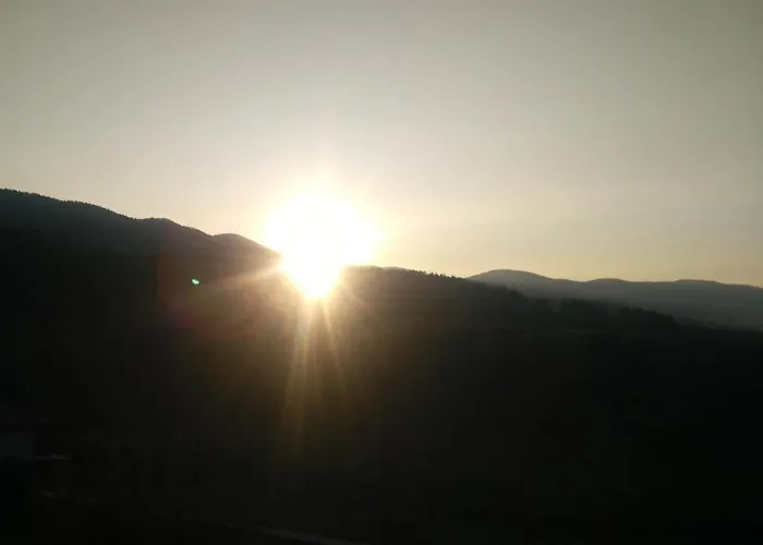 айрови * サルニトゥサ