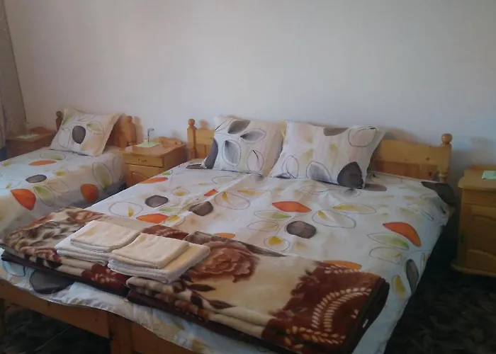 ゲストハウス айрови サルニトゥサ