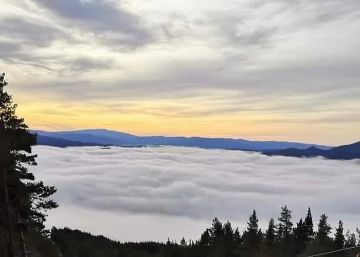 айрови * サルニトゥサ