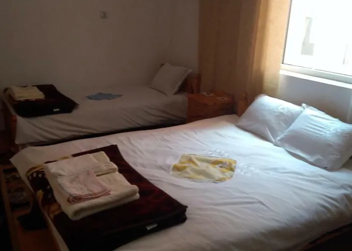 айрови * サルニトゥサ