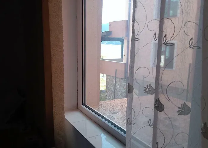 ゲストハウス айрови サルニトゥサ