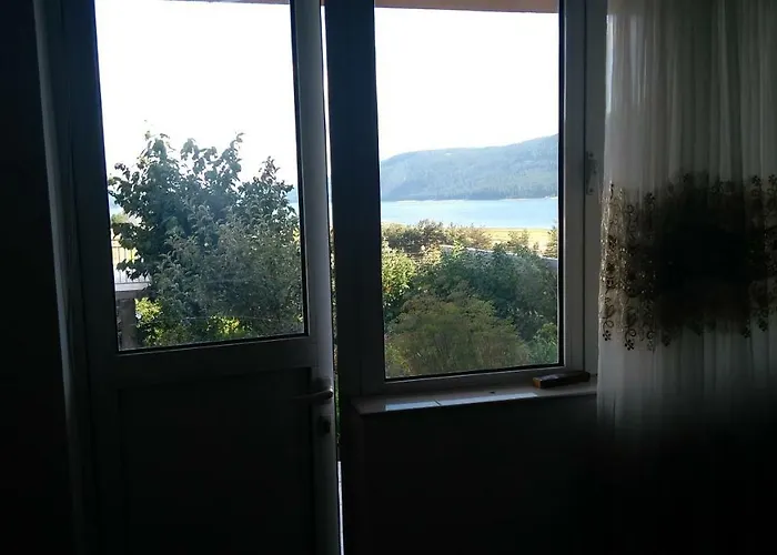 ゲストハウス айрови サルニトゥサ