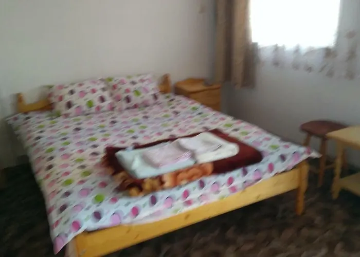 ゲストハウス айрови サルニトゥサ