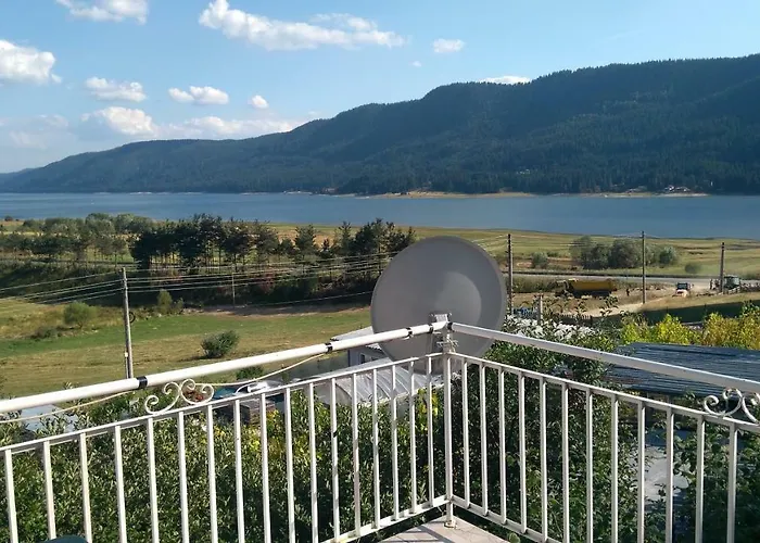 айрови * サルニトゥサ